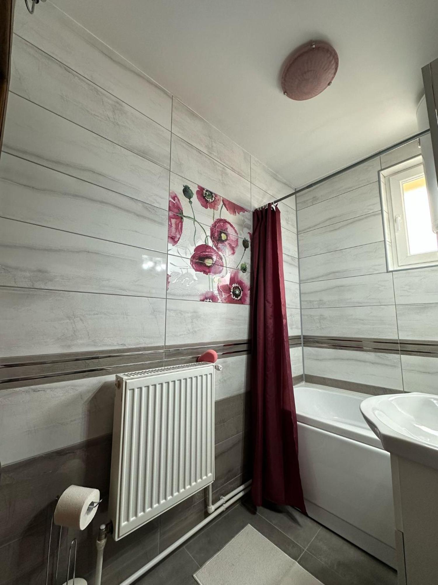 Apartament De Inchiriat Borsec Eksteriør billede